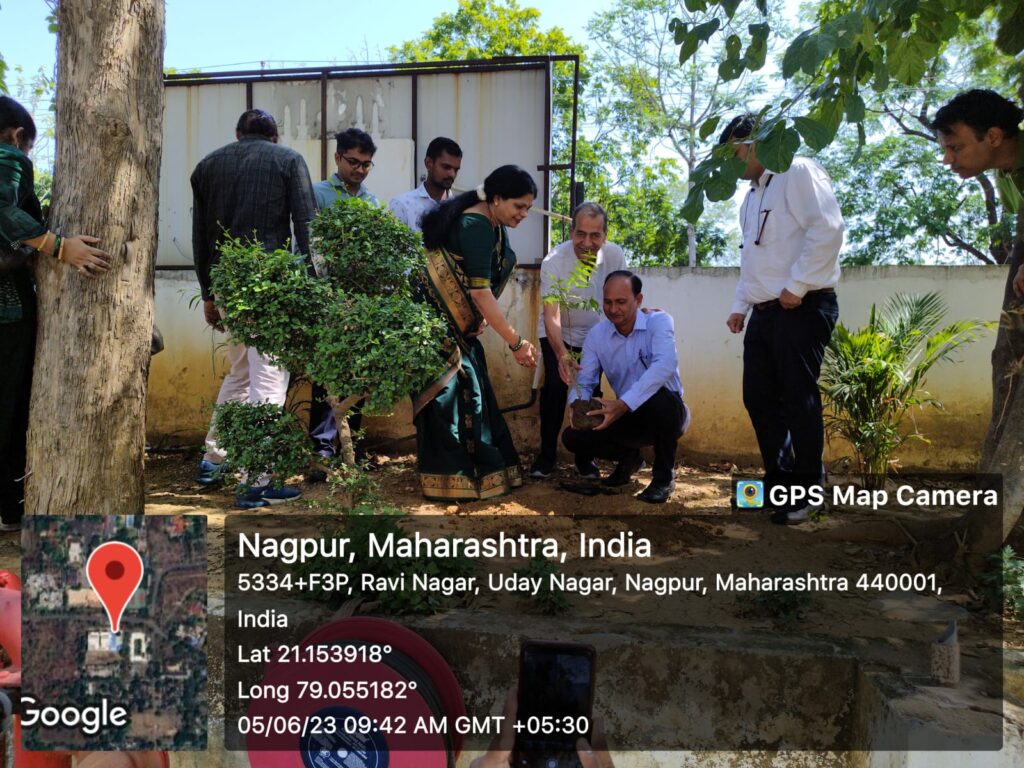 Tree Plantation Activity