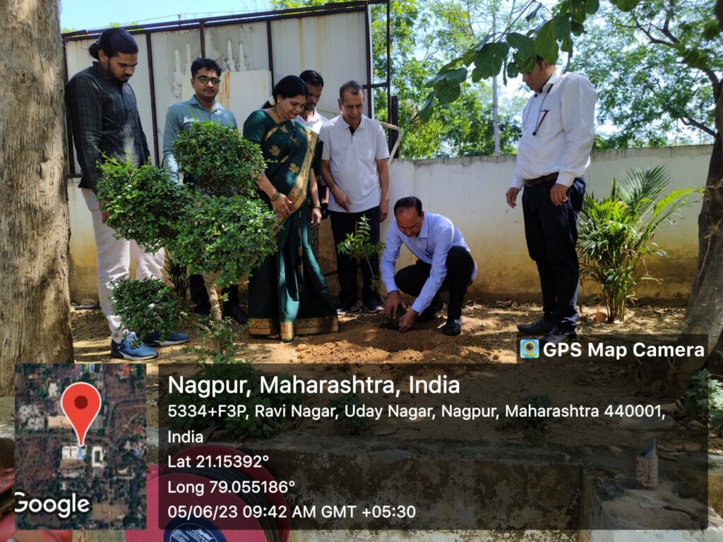 Tree Plantation Activity 2
